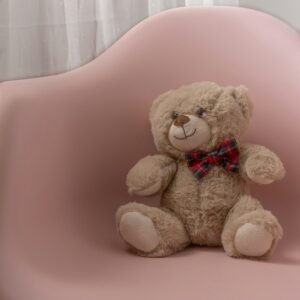 Plush Teddy Bear